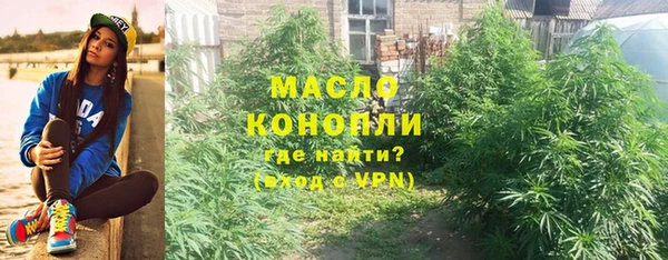 соль ск Ельня