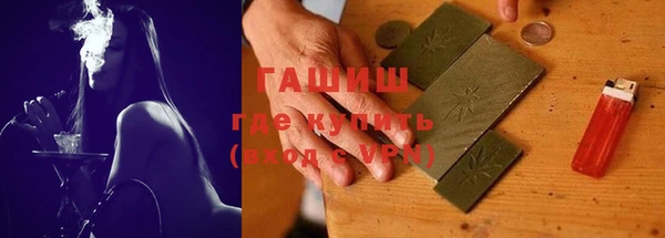 соль ск Ельня