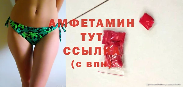 соль ск Ельня