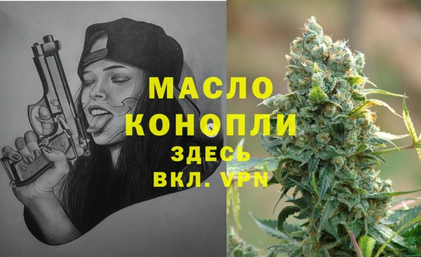 СК Дмитровск