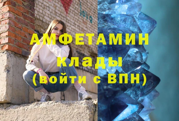 соль ск Ельня