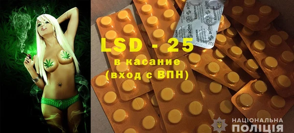 соль ск Ельня