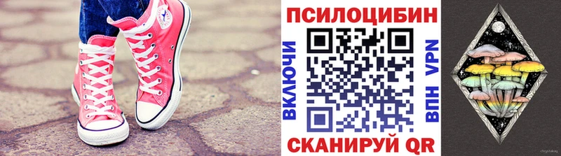 Псилоцибиновые грибы прущие грибы  где продают   Хабаровск 