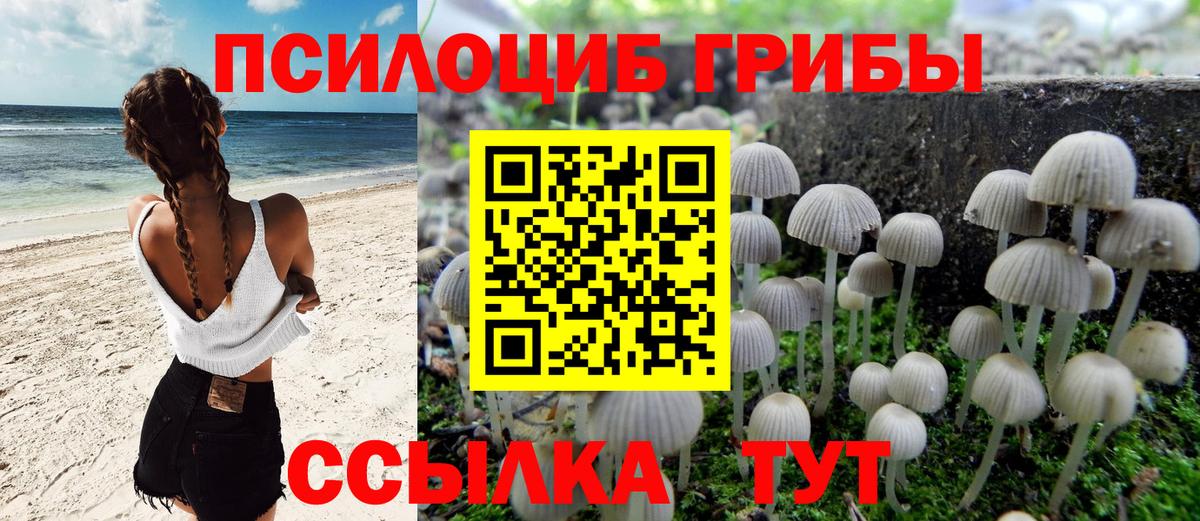 Псилоцибиновые грибы ЛСД  Вход с VPN  Хабаровск 