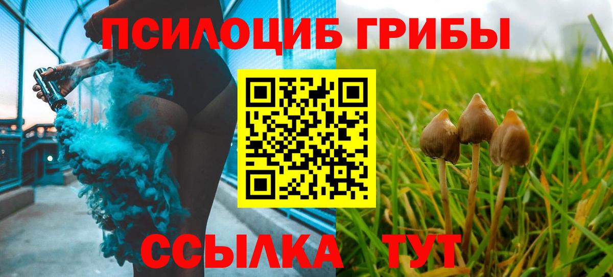 Псилоцибиновые грибы MAGIC MUSHROOMS Хабаровск